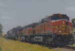 BNSF 5843 West